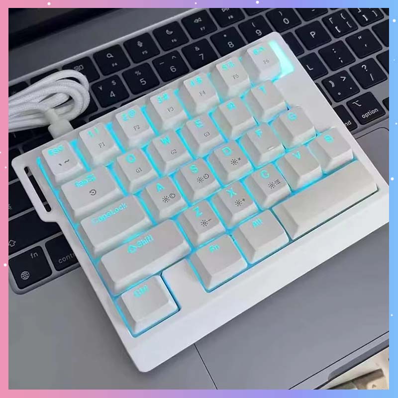 Esports Gaming Keyboard - HE30 Mechanische Gaming-Tastatur 29 Tasten Magnetischer